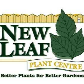 New Leaf Plant Centre logo