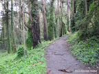 Bay Area Ridge Trail