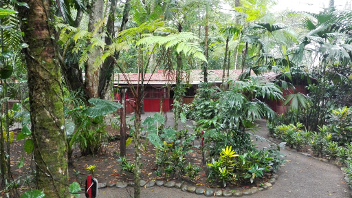 Jaguar Rescue Center
