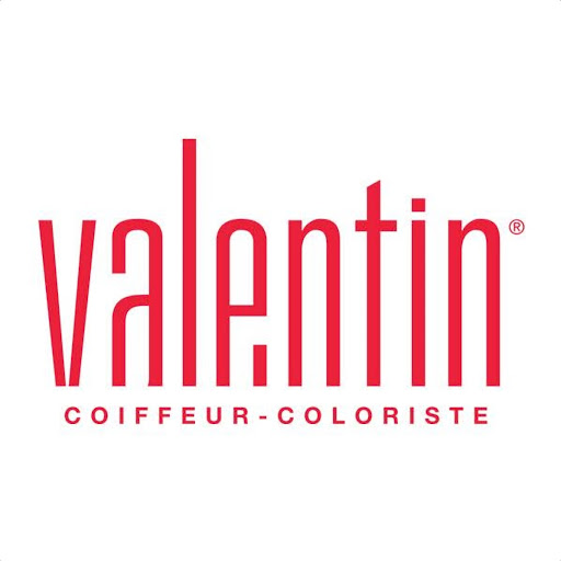 Valentin Coiffeur Coloriste Noeux Les Mines logo