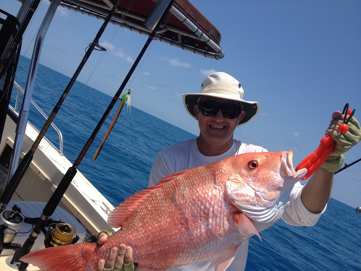 Questions about night fishing for red snapper/seabass. - The Hull Truth -  Boating and Fishing Forum