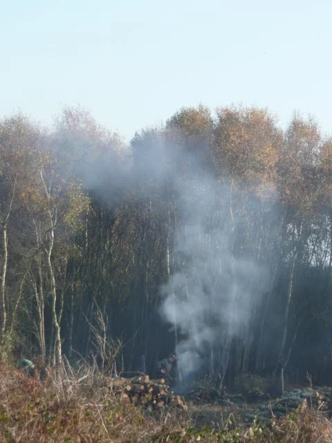 Clearing the undergrowth on the common