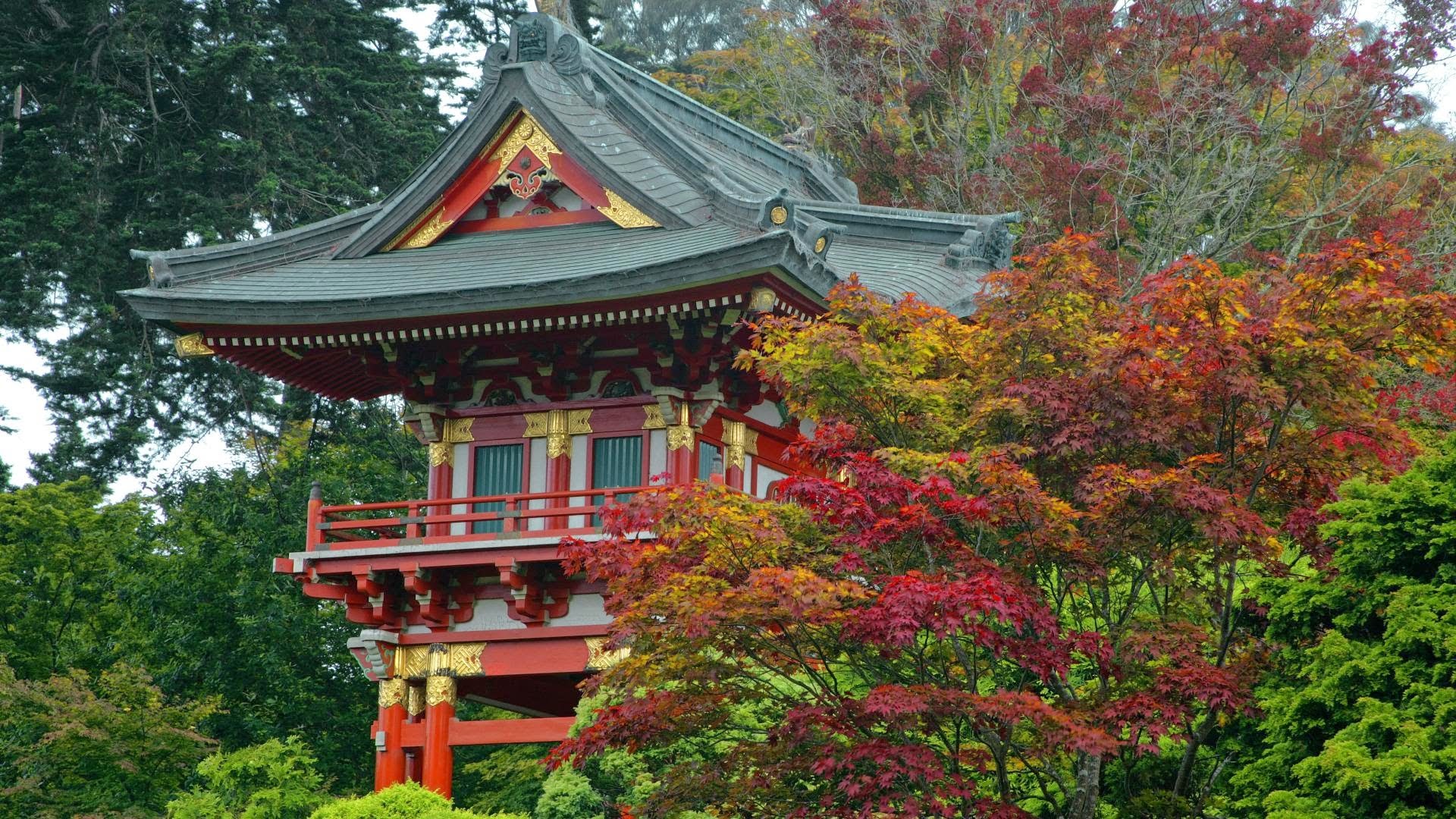 Free Nature Pictures Temple Gate Japanese Tea Garden San