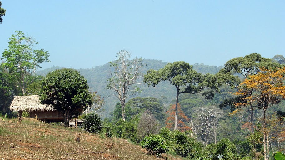 Farm hut with view