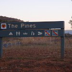 Welcome to the Pines