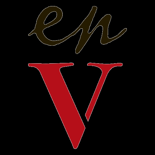 enV Salon logo