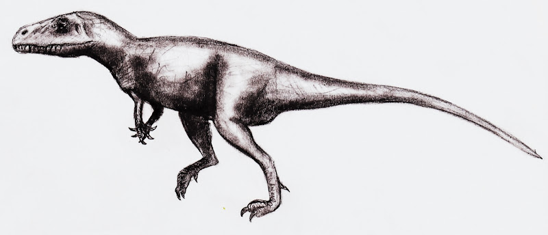 Große Theropoden - Seite 3 Torvosaurus_tanneri---