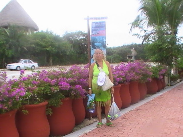 PENINSULA YUCATAN & MI REENCUENTRO CON EL PUEBLO MAYA - Blogs de Mexico - COZUMEL Y ENTORNOS Y PLAYA DEL CARMEN (11)