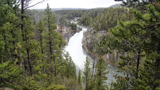 Upper Falls of the Yellowstone