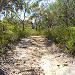 Walking along the Coreen Close western trail (355298)