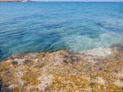 Photos of Medusa Boat Trips