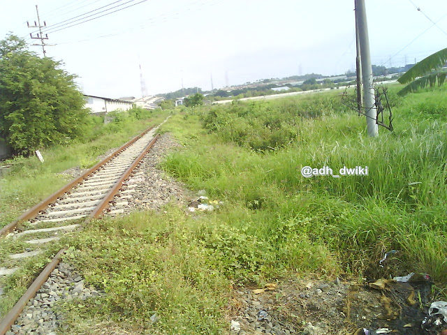 [Image: DSC02262.JPG]