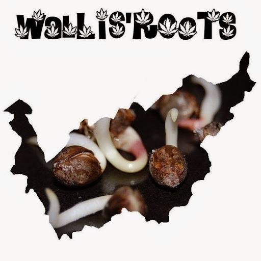 Wallis' Roots logo