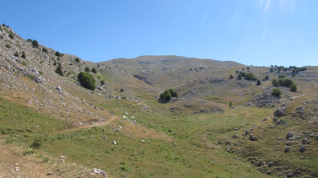 IMG_3907.JPG