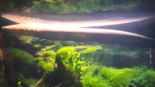 Sea Life Helsinki