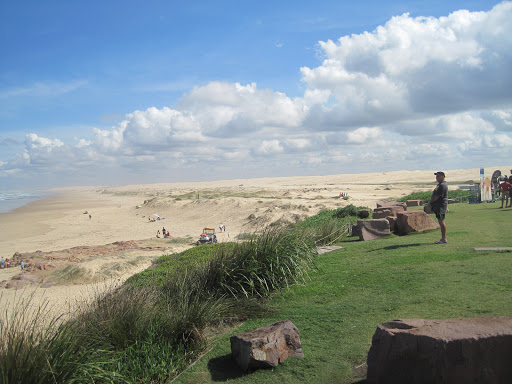 Sand Dune Safaris