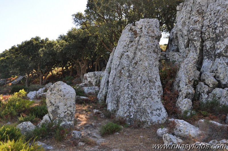 Dolmenes y menhir de Facinas