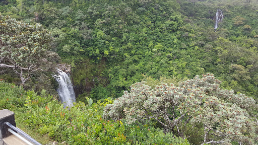 Alexandra Falls Lookout Point