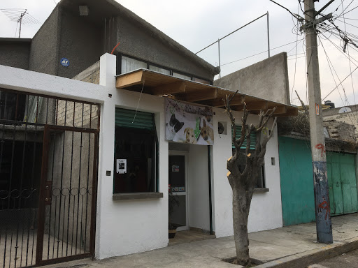 Clinica Veterinaria Mundo Animal, Barracuda MZ 151 LT8, Col del Mar, 13270 D.f., CDMX, México, Veterinario | Ciudad de México