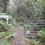 Bridge to Picnic Point (146292)