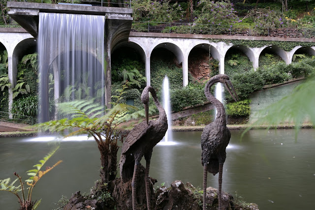 FUNCHAL  Y MONTE - MADEIRA: JARDÍN BOTÁNICO CON VISTAS AL MAR (18)