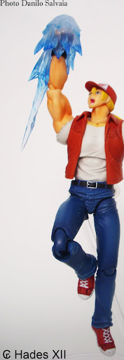 [REVIEW] The King Of Fighters 94 - Terry Bogard D-arts -  by Hades XII DSCI9784
