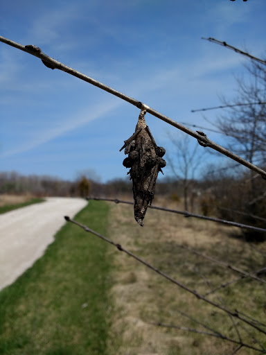 Nature Preserve «Meacham Forest Preserve», reviews and photos, Circle Ave, Bloomingdale, IL 60108, USA