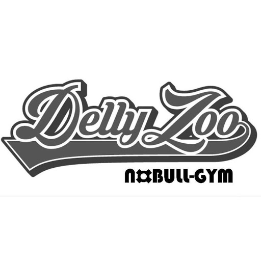 DELLY Zoo-ALLROUND Gym logo