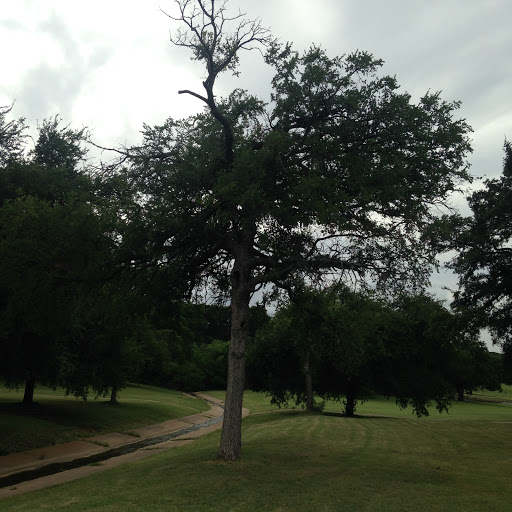 Golf Course «Meadowbrook Golf Course», reviews and photos, 1815 Jenson Rd, Fort Worth, TX 76112, USA