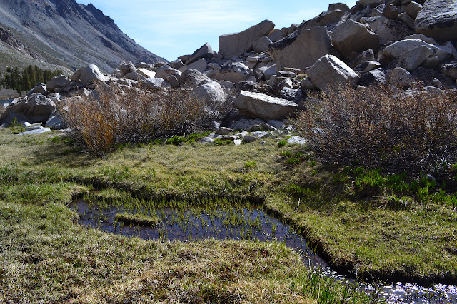 a part of the water coming down this particular valley