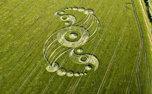 Fo Alert Police Officer Sees Aliens At Crop Circle