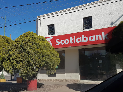 Scotiabank, Av. Contitución No 100, Centro, 31700 Nuevo Casas Grandes, Chih., México, Ubicación de cajero automático | CHIH