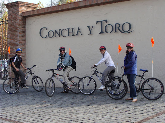 Bikes and Wines Concha y Toro and Pirque Wine tour