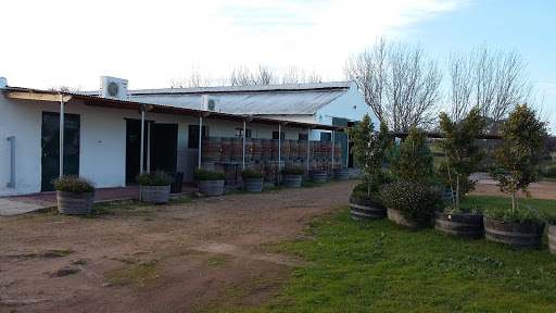 Joostenberg Wines