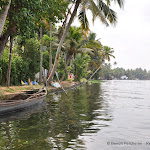 Photo de la galerie « Le Kérala et ses backwaters »