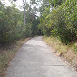 Between Kissing point road and Lane Cove River (64100)