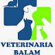 Clínica veterinaria BALAM