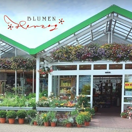 Blumen Herzog logo