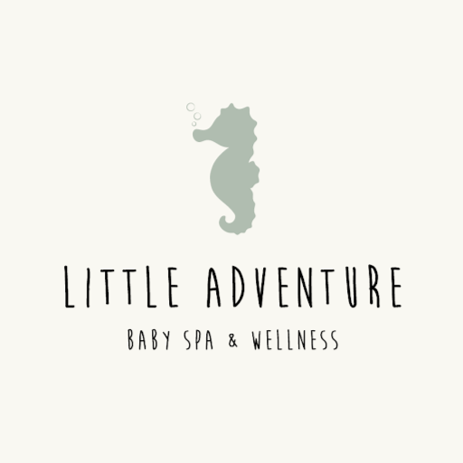 Baby Spa Little Adventure logo