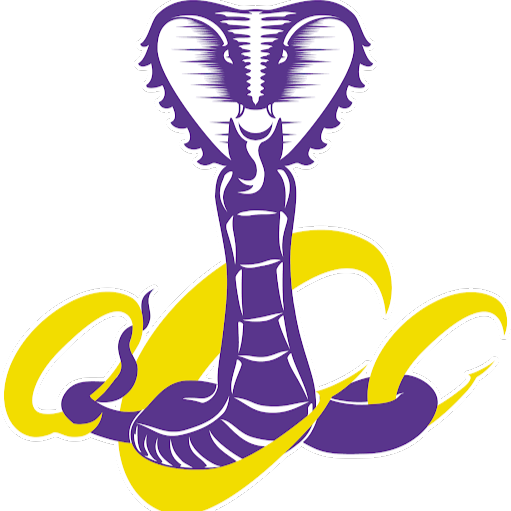 Quebec Cobras Cheerleading