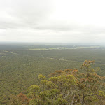 View from the western viewpoint near Mt Sugarloaf (324755)