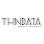 THN Data logotyp