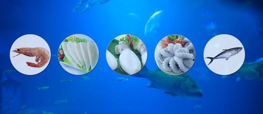 E Seafood Exports, Arrimbussery, Thycattussery, Cherthala, Alappuzha, Kerala 688528, India, Seafood_Wholesaler, state KL