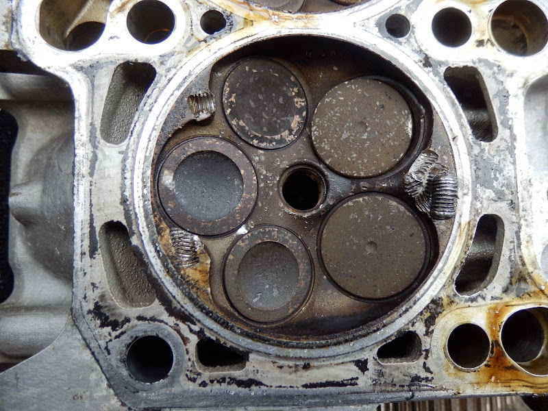 P4120113.JPG