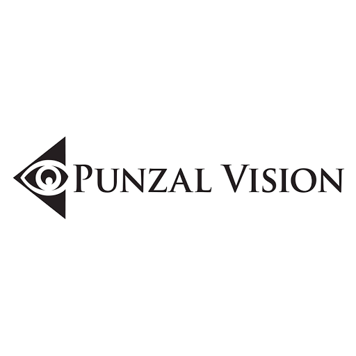 Punzal Vision logo