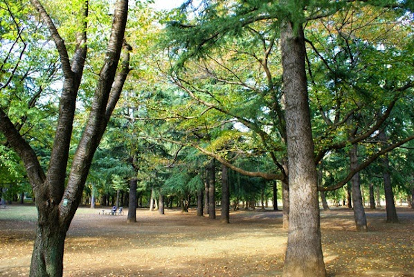 Nogawa Park