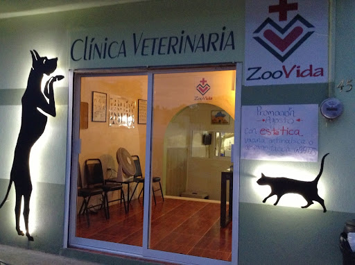 Clínica Veterinaria ZooVida, Calle Libertad 45, Rafael Hernandez Ochoa, 91583 Coatepec, Ver., México, Hospital veterinario | VER