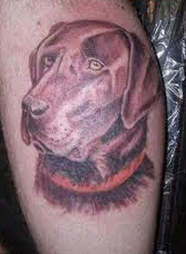 Dog Tattoos