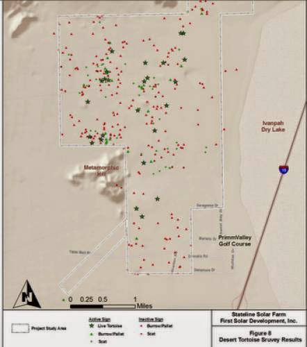 Measuring First Solar Ecological Impact