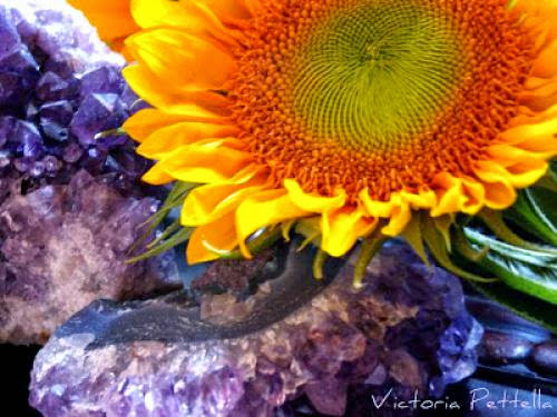 A Spell Of Sunflowers And Amethyst